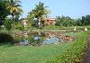 pond in the garden